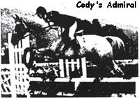 codysadmiral