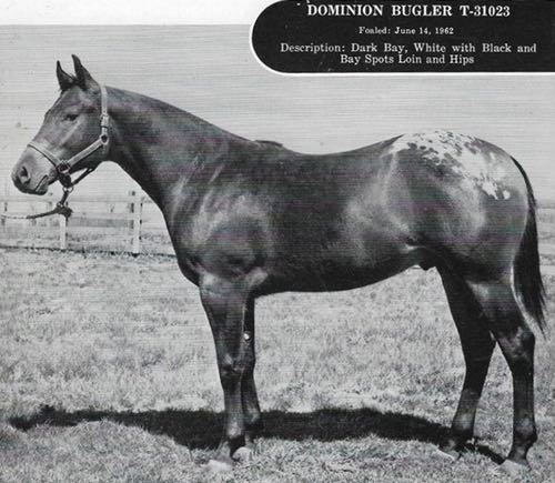 dominionbugler