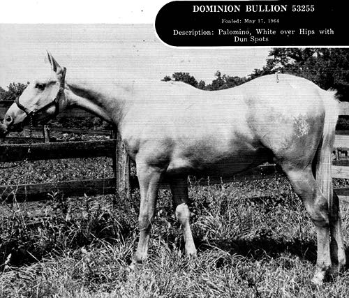 dominionbullion