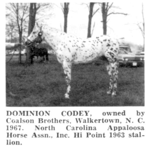 dominioncodey