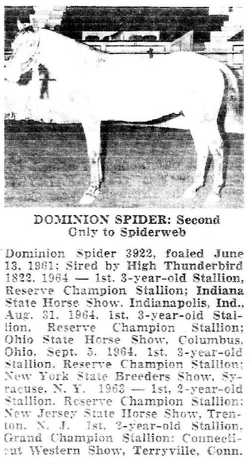 dominionspider3