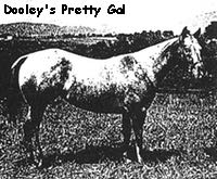 dooleysprettygal