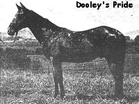 dooleyspride2