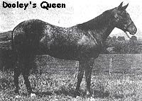 dooleysqueen