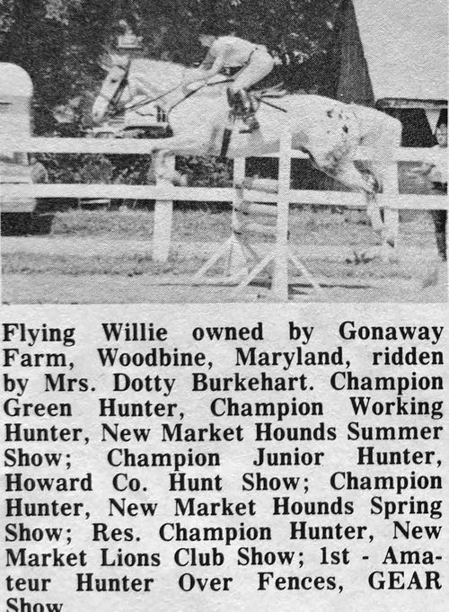 flyiong willie