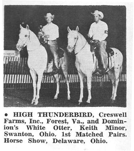 highthunderbird3