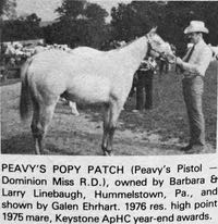 peavys popy patch