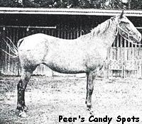 peerscandyspots