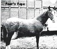 peerspepe