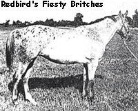 redbirdsfiestybritches