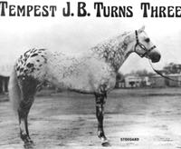 tempestjb