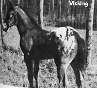 visking