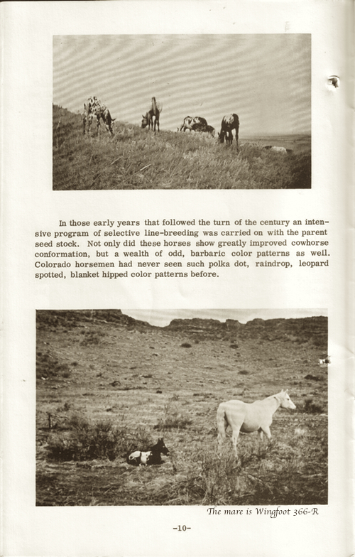 CRHAbooklet10