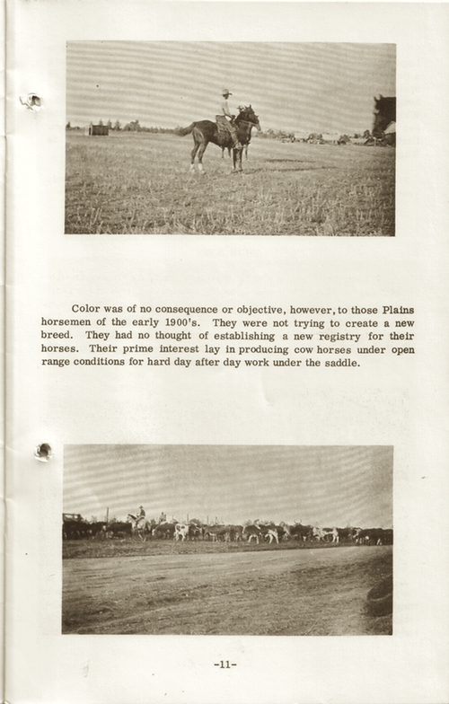 CRHAbooklet11