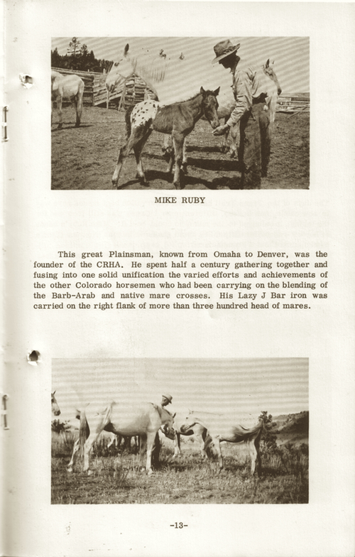 CRHAbooklet13
