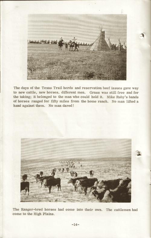 CRHAbooklet14