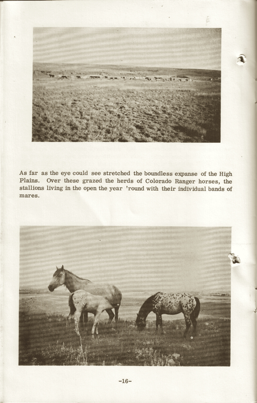 CRHAbooklet16