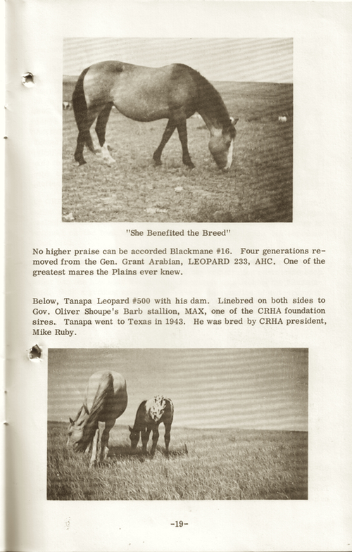 CRHAbooklet19