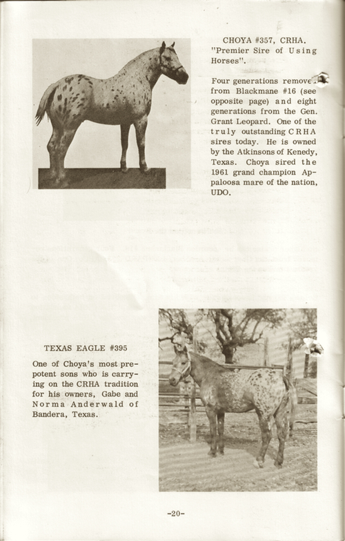 CRHAbooklet20