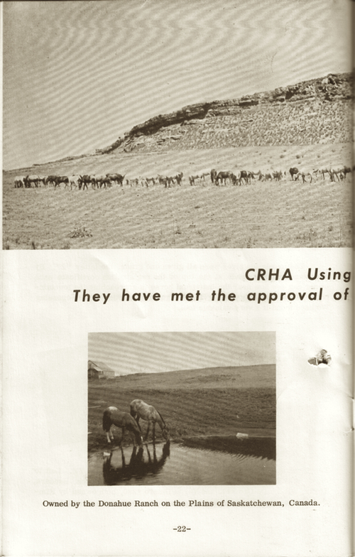 CRHAbooklet22