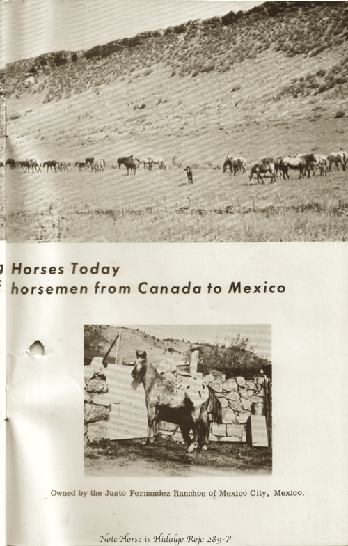 CRHAbooklet23