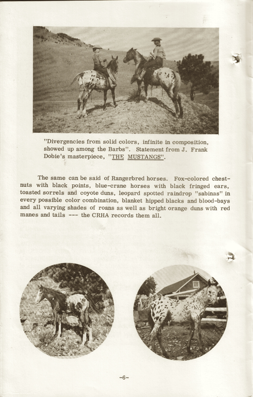 CRHAbooklet6