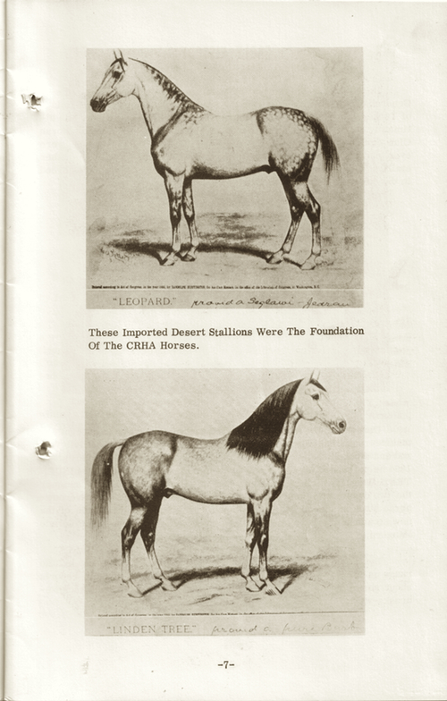 CRHAbooklet7
