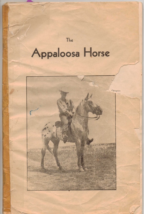 appaloosahorseindex