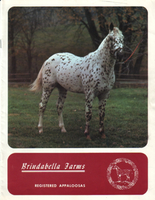 brindabella71aindex