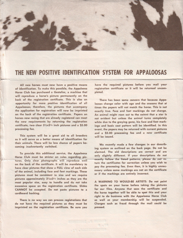 newregflyer2