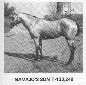 navajosson