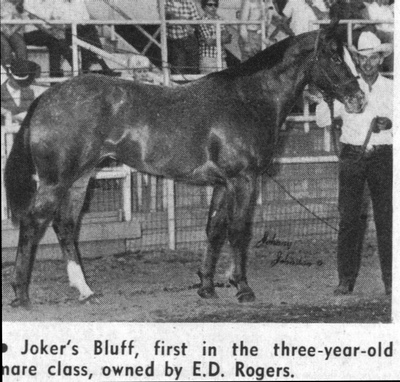 jokersbluff