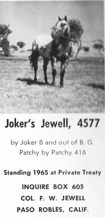 jokersjewell