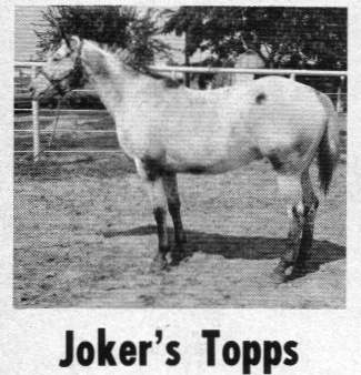 jokerstopps