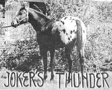jokersthunder