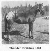 thunderbritches