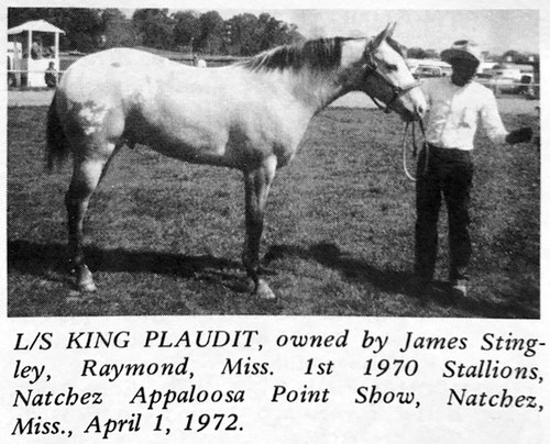 ls king plaudit