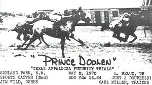 princedoolin