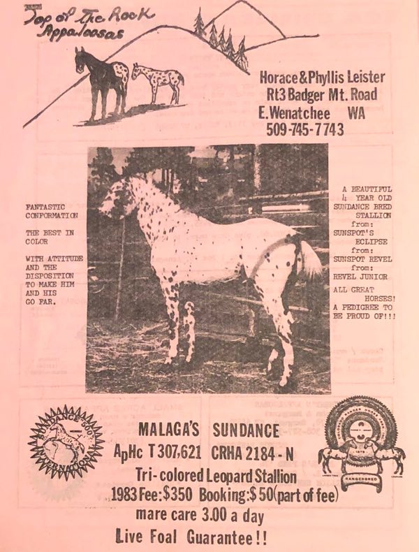 malagassundancead