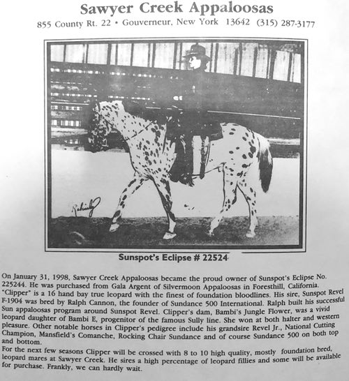 sawyer creek ad
