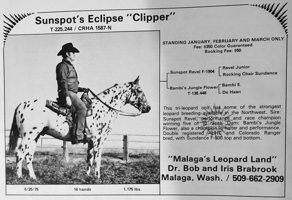 sunspots eclipsead