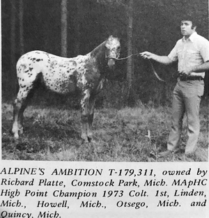 alpines ambition