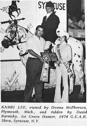 kambi lee