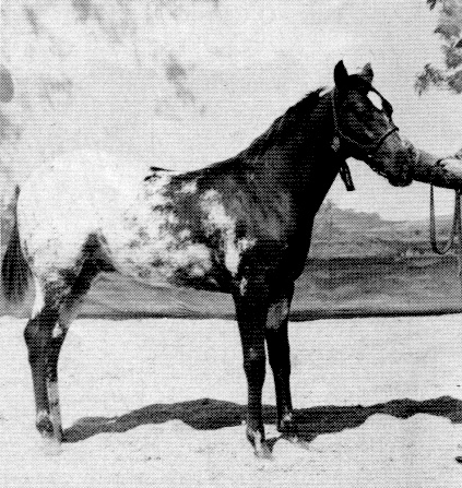 charliesbritches3