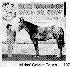 midasgoldentouch