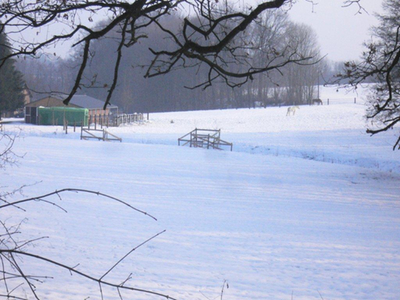 pastureinwinter