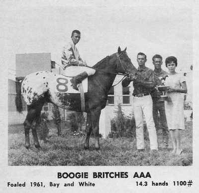 boogiebritches