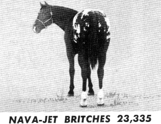 navajetbritches2