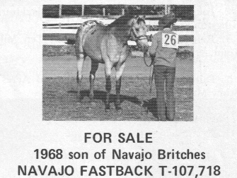 navajofastback