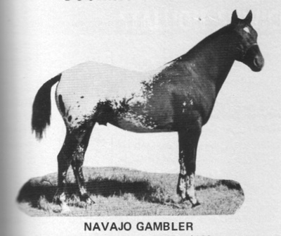 navajogambler